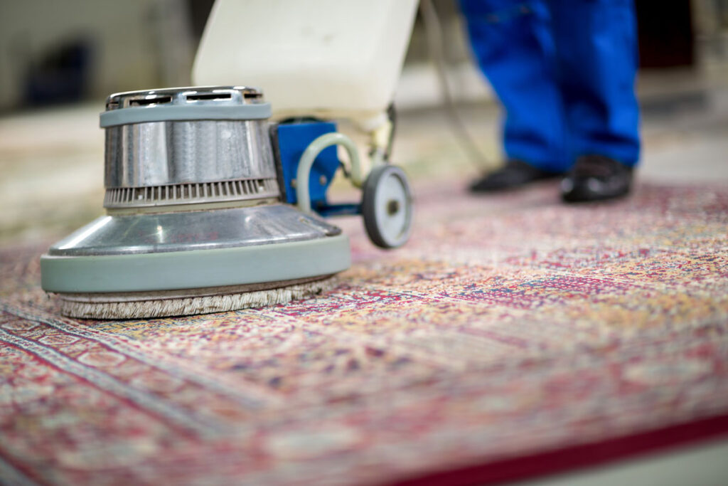 Carpet Cleaning Pimlico
